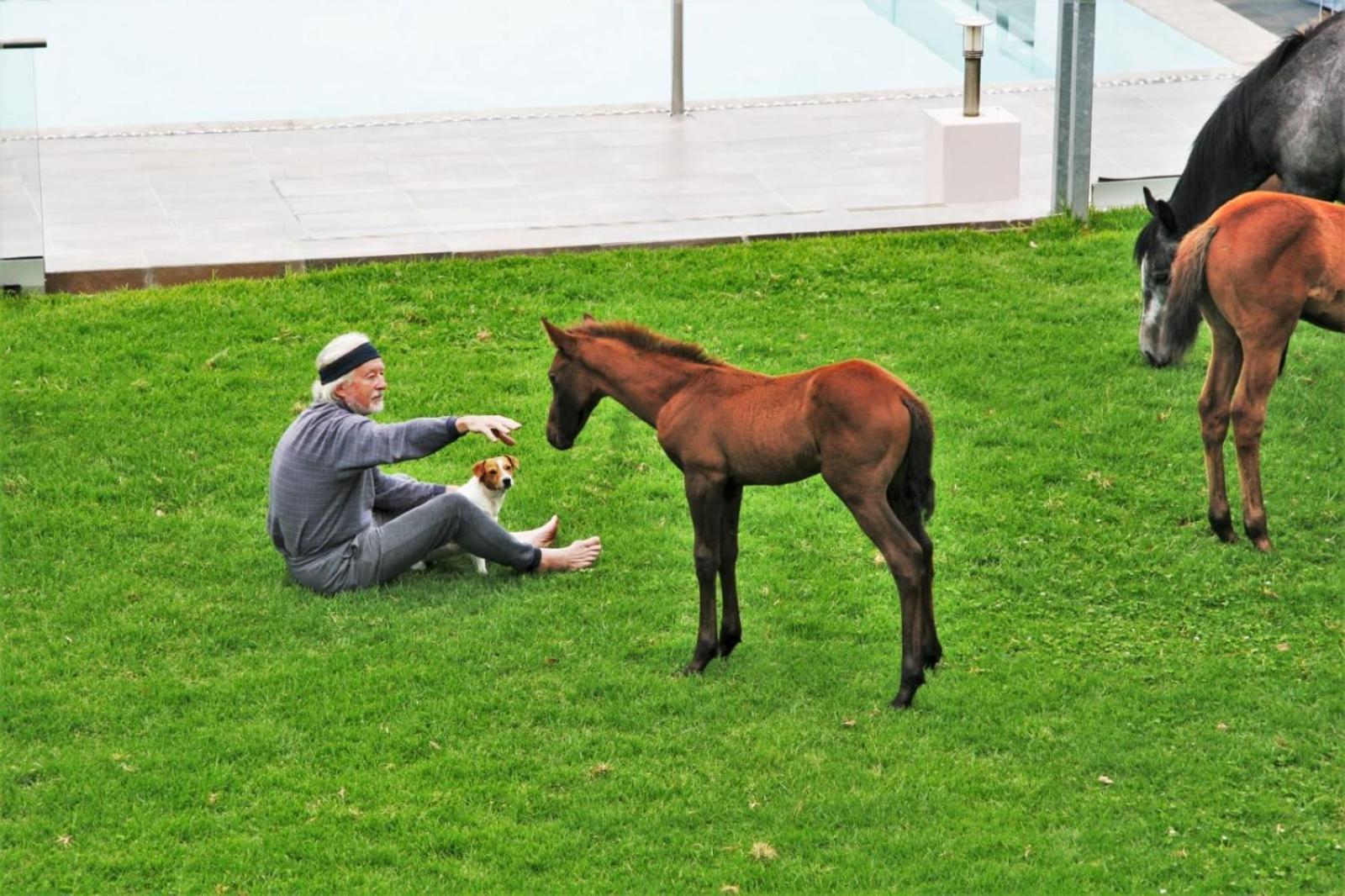 Witelsbos Tsitsikamma On Sea Resort מראה חיצוני תמונה
