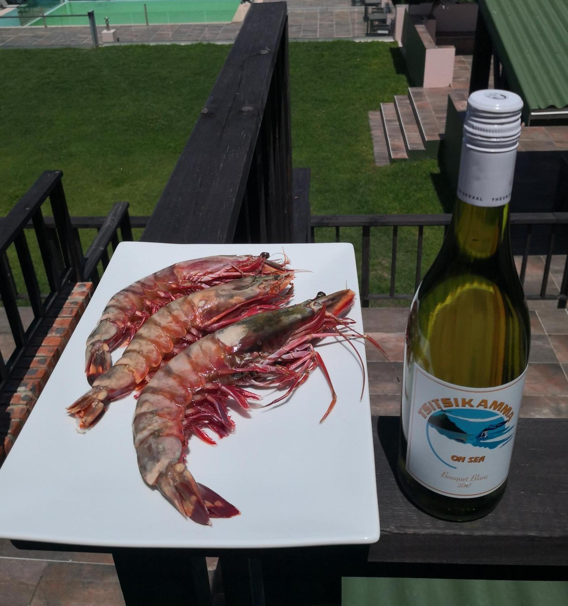 Witelsbos Tsitsikamma On Sea Resort מראה חיצוני תמונה